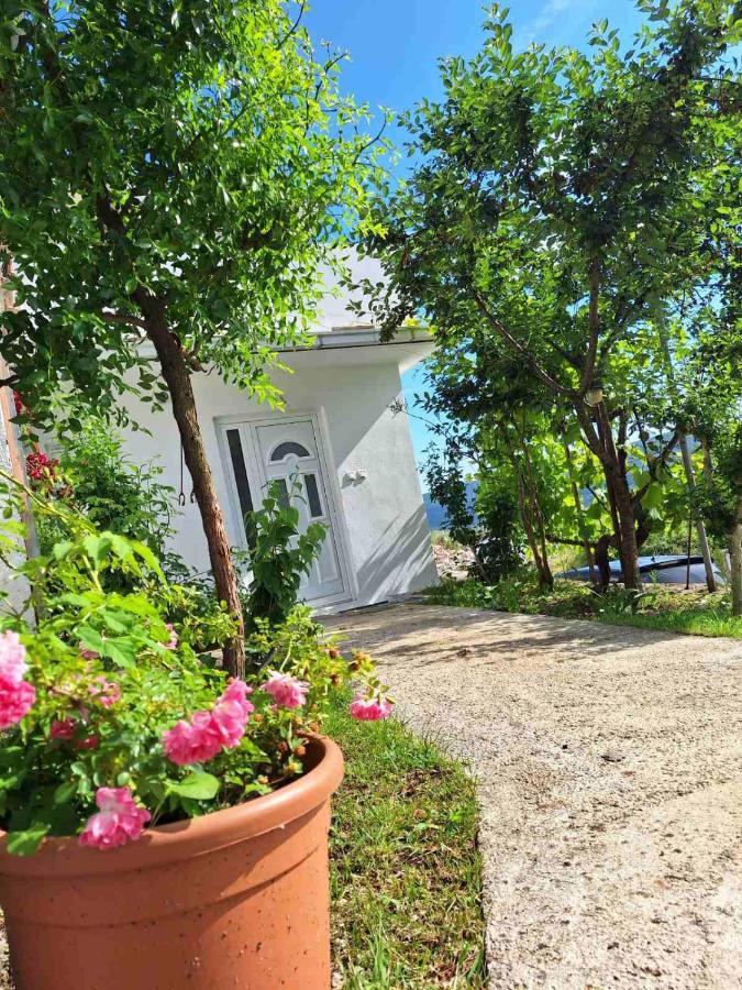 Apartman Glorija Kotor Extérieur photo